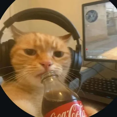 ๐ฟ๐๐๐ง๐จ๐๐๐ฃ๐๐ซ profile