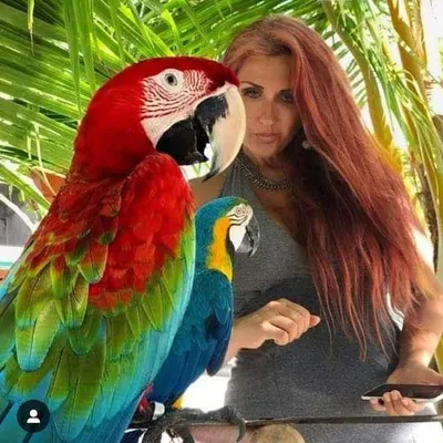 Joanna Gawroniak ๐ต๐ฑ๐ฒ๐ป profile