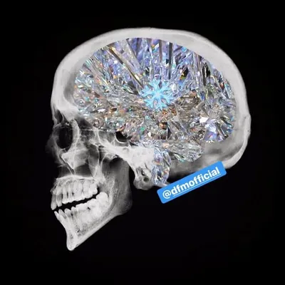Freeze Yer Style profile