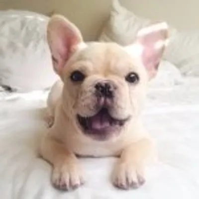 milo lu ๐ท๐ฑ๐ธ๐ฐ๐ถ๐ฅ profile