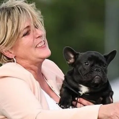 Kerrie Moisi & frenchies by Gernada profile