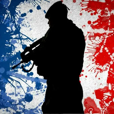French Special Units © profile