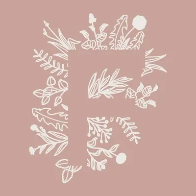 🌷shop online per le famiglie 🌷 profile