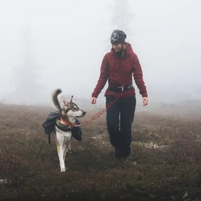 ↟ Frida Lindgren profile
