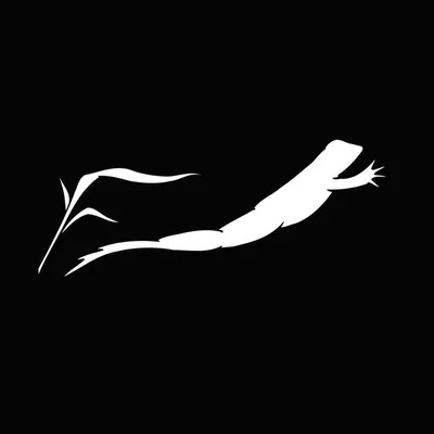 Frog's Leap Winery profile