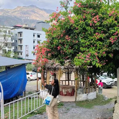 Shalini Gupta profile