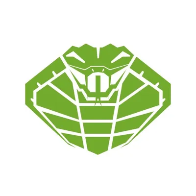 FSB México profile