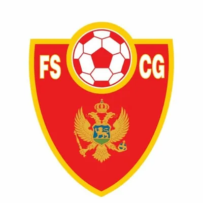 Fudbalski savez Crne Gore profile