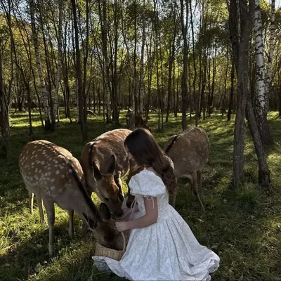 فاطمة /بلوقر تغطيات أبها خميس مشيط 👩🏻🌾🌾 profile