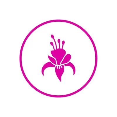 FUCHSIA | Artisanal Flats profile
