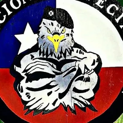 FUERZASCHILENAS profile