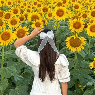 ありさ -福岡グルメ- profile