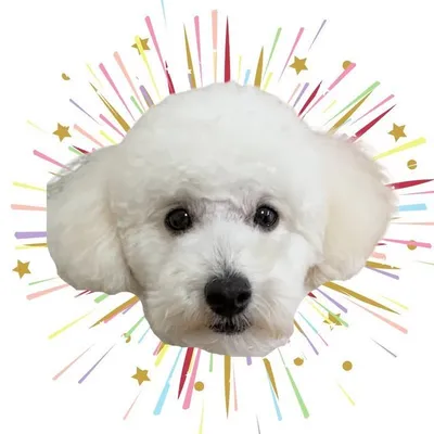 フク@脊髄梗塞から奇跡の復活‼️ profile