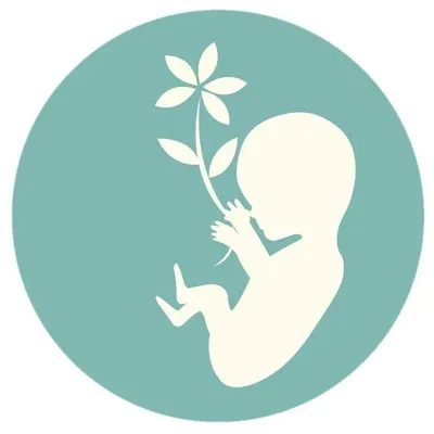 Fundación Amparos profile