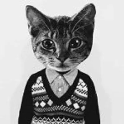 Funny_cats profile
