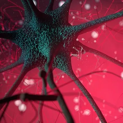 funny creation profile