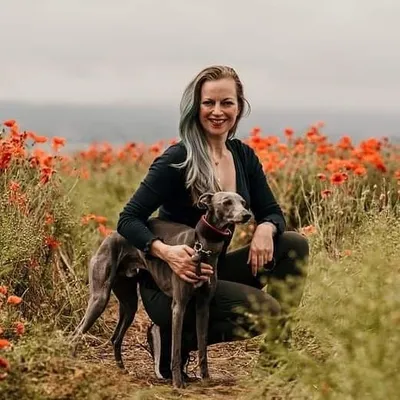 📷Commercial Pet Photographer profile