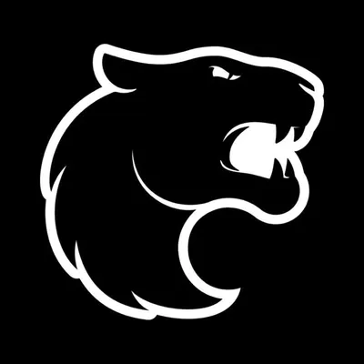 FURIA profile