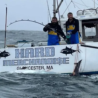 F/V Hard Merchandise profile