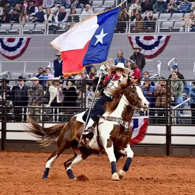 Fort Worth Stock Show & Rodeo profile