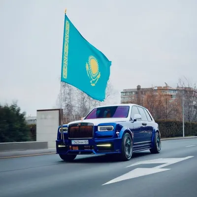Zair Rzayev profile