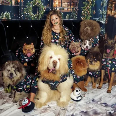 Gabrielle Kouture | FairyTaxMuva | KoutureKennels | ๐จ๐บ profile