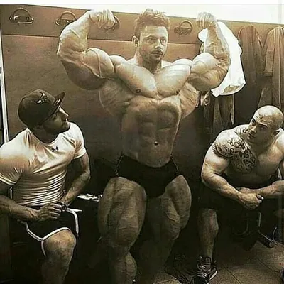 Gains || Bodybuilding profile