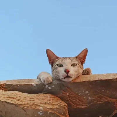 gajabcontent profile