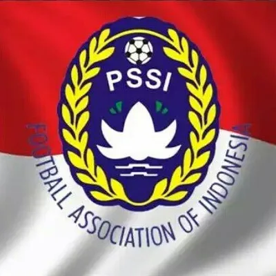 TIMNAS INDONESIA profile