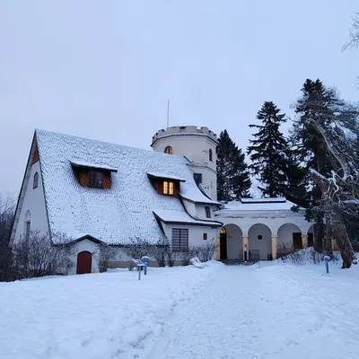 Gallen-Kallelan Museo profile