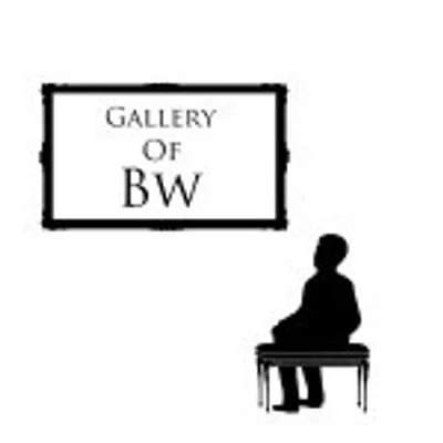 Gallery_of_Bw profile