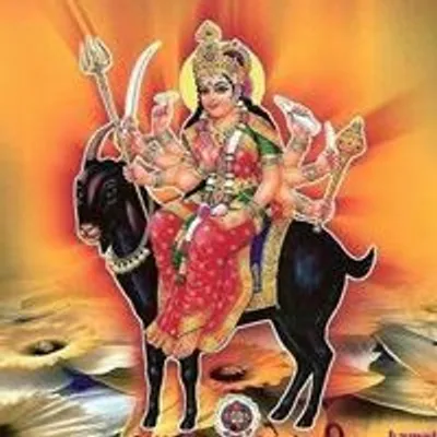chaku gandhi profile