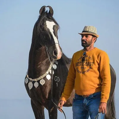 dev stud faram ๐๐๐ง๐๐ฌ๐ก ๐๐๐ฅ ๐๐ฎ๐ซ๐ฃ๐๐ซ profile