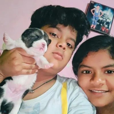 🐯 my 🦁 viraj 🦁king 🐯 profile