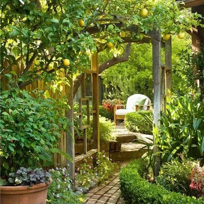 Garden lovers of IG profile