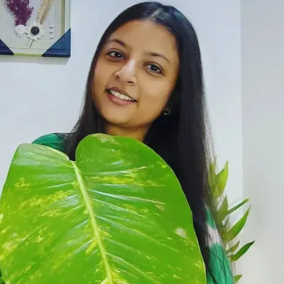 Gardening hobbyist || Pragya K profile