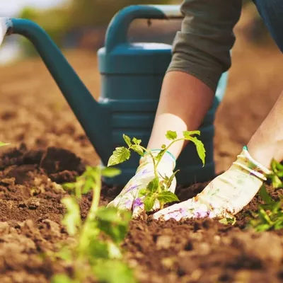 Gardening Love profile