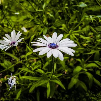 photographer profile