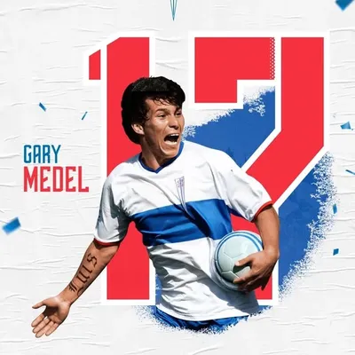 Gary Medel profile