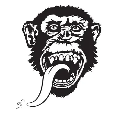 Gas Monkey Garage profile