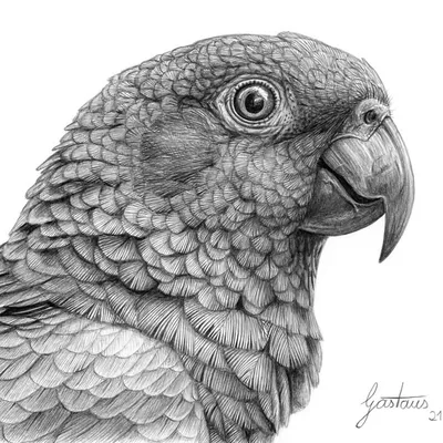 Gastaus Art profile
