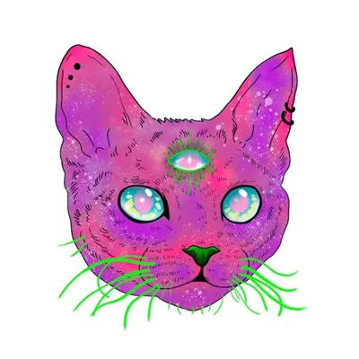 GATOS ANONIMOS profile