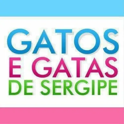Gatos E Gatas SE • GGSE - BR profile