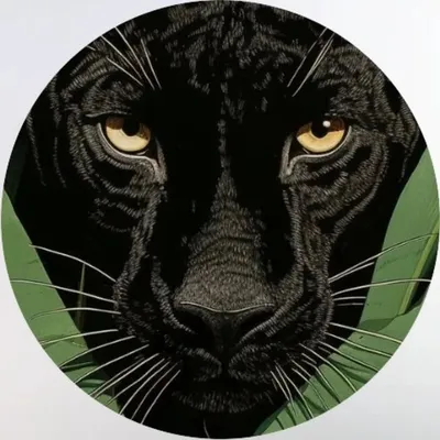 गौरव सिंह राठौड़🦁 profile