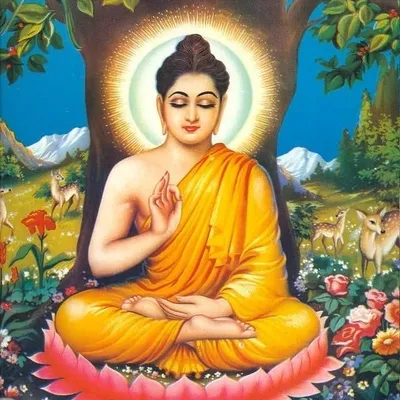 Gautam buddh video profile