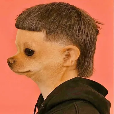 ๐คฆ๐ป๐๐ โฐ๏ธ profile