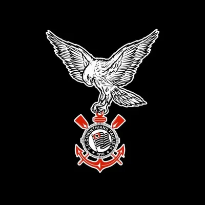 Gaviões da Fiel profile