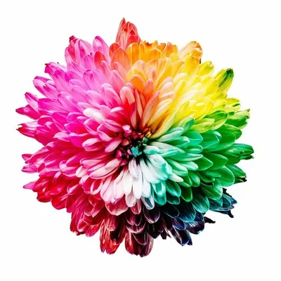 Gay India People profile