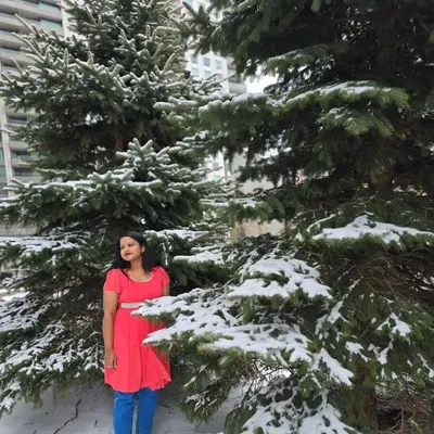 Gayathri blogger profile