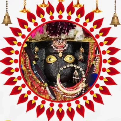 GEDI ROUTE VIJAYPUR | OFFICIAL profile
